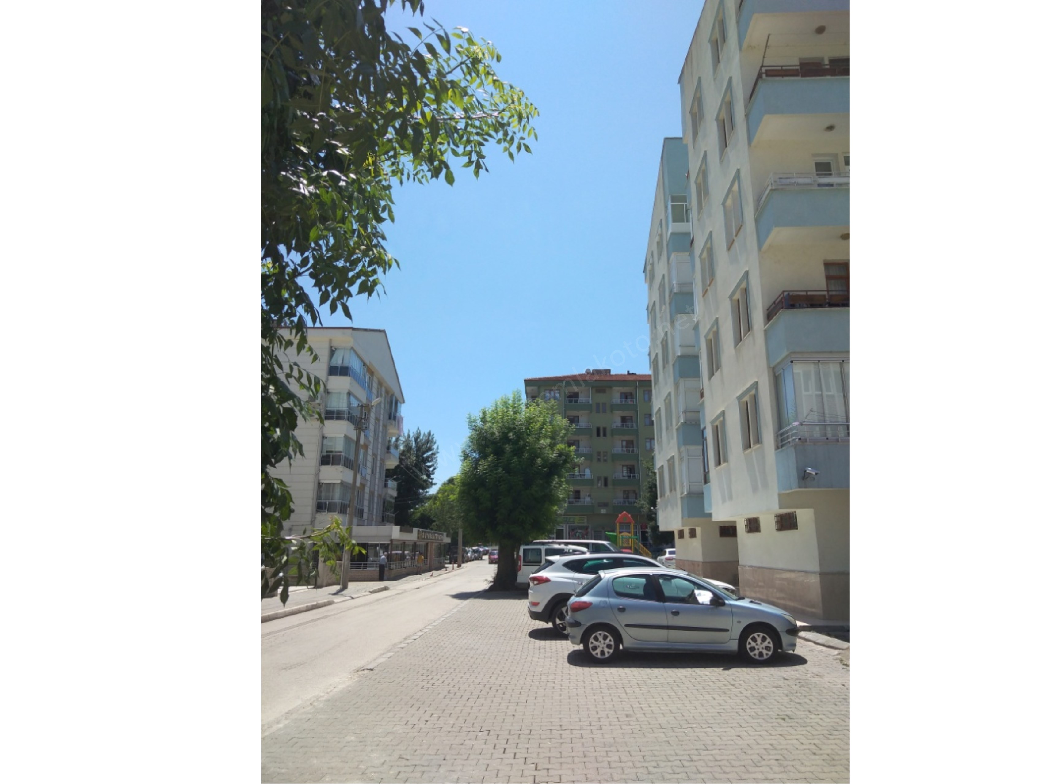 Salık daire