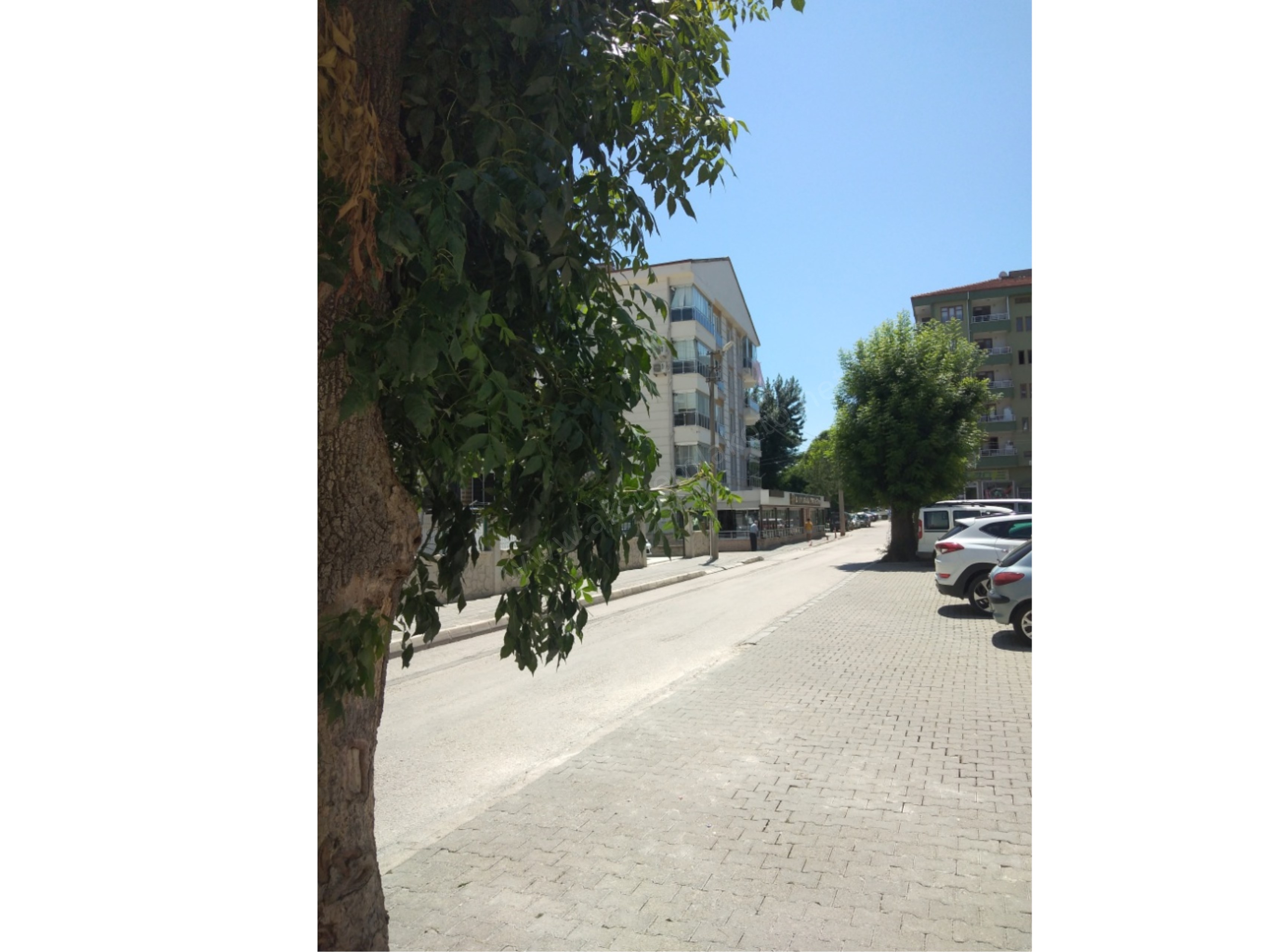 Salık daire
