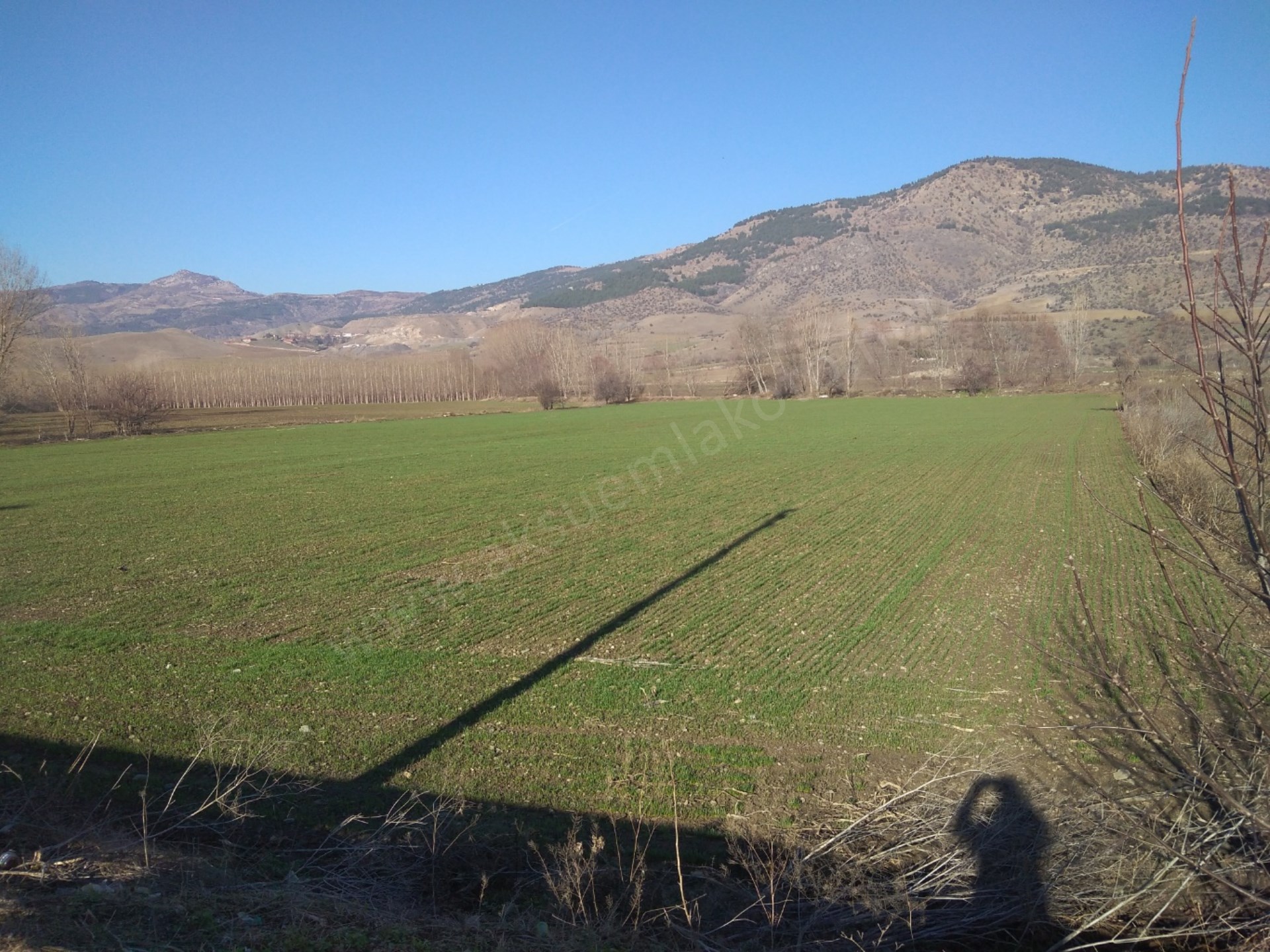 Satlık tarla