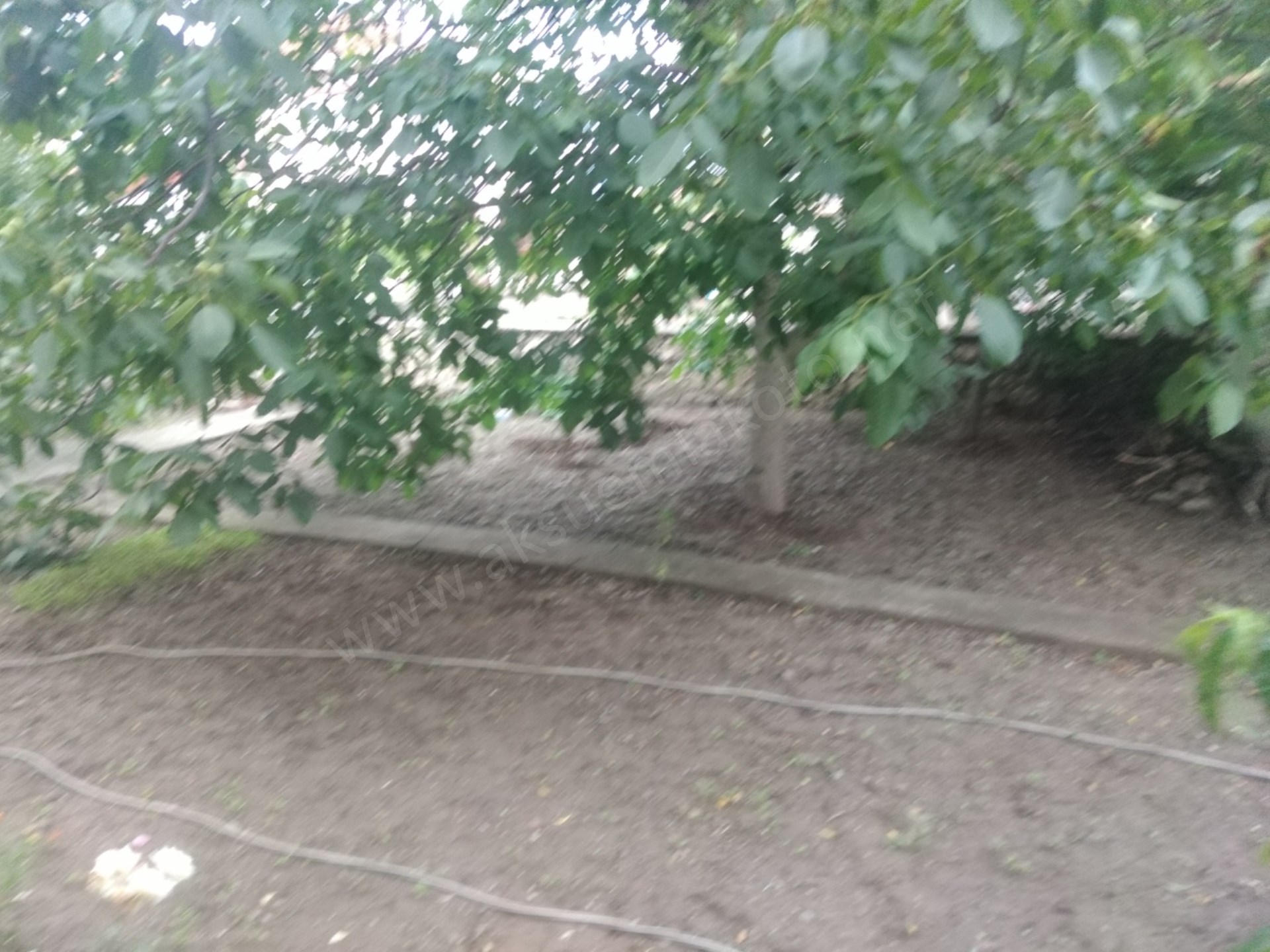 Satlık daire